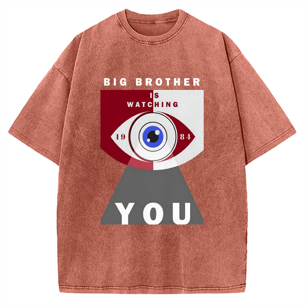 Big Brother is watching you Vintage Washed T-shirt