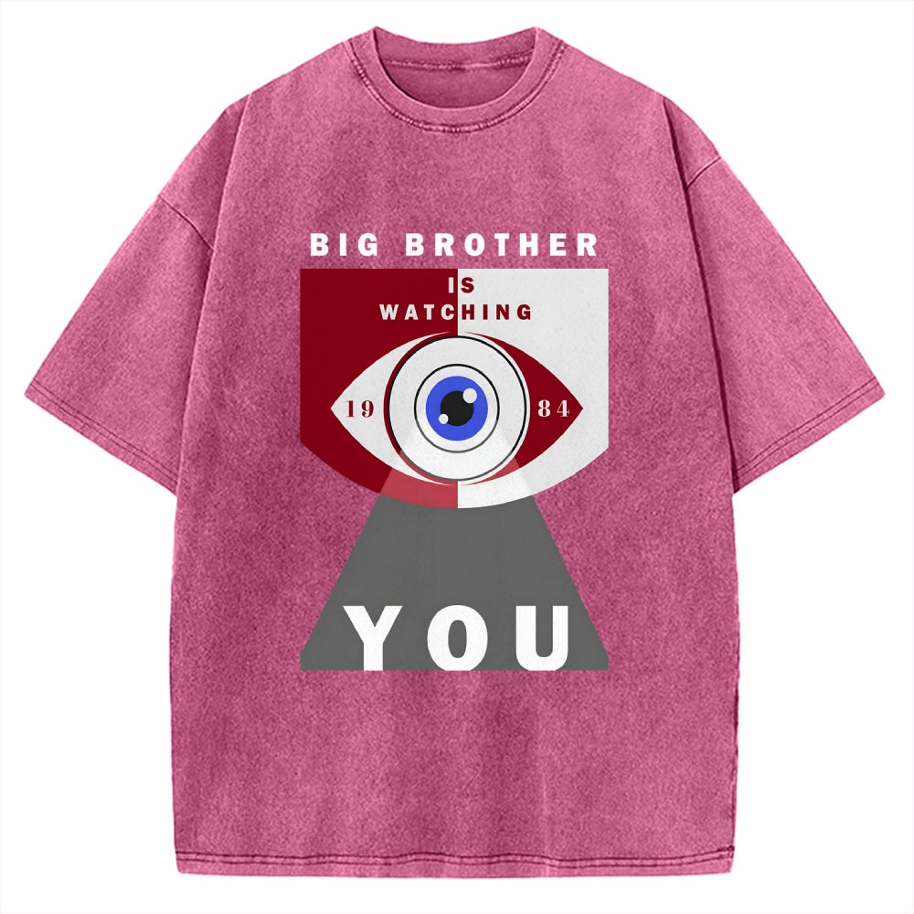 Big Brother is watching you Vintage Washed T-shirt