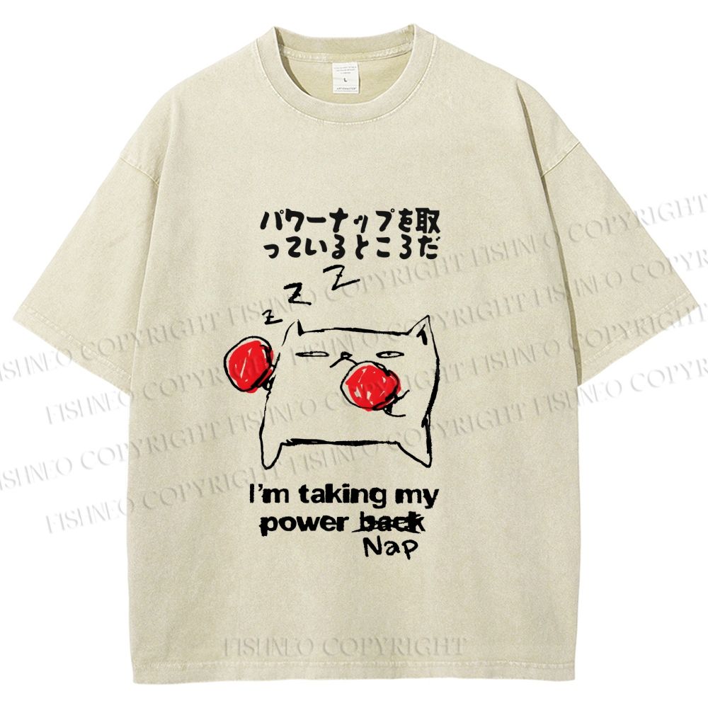 Unisex Cat Taking Power Nap Printed Washed Tee
