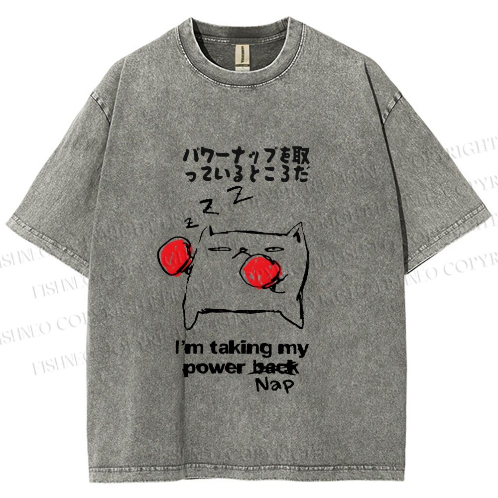 Unisex Cat Taking Power Nap Printed Washed Tee