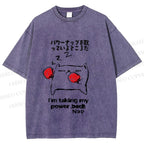 Unisex Cat Taking Power Nap Printed Washed Tee