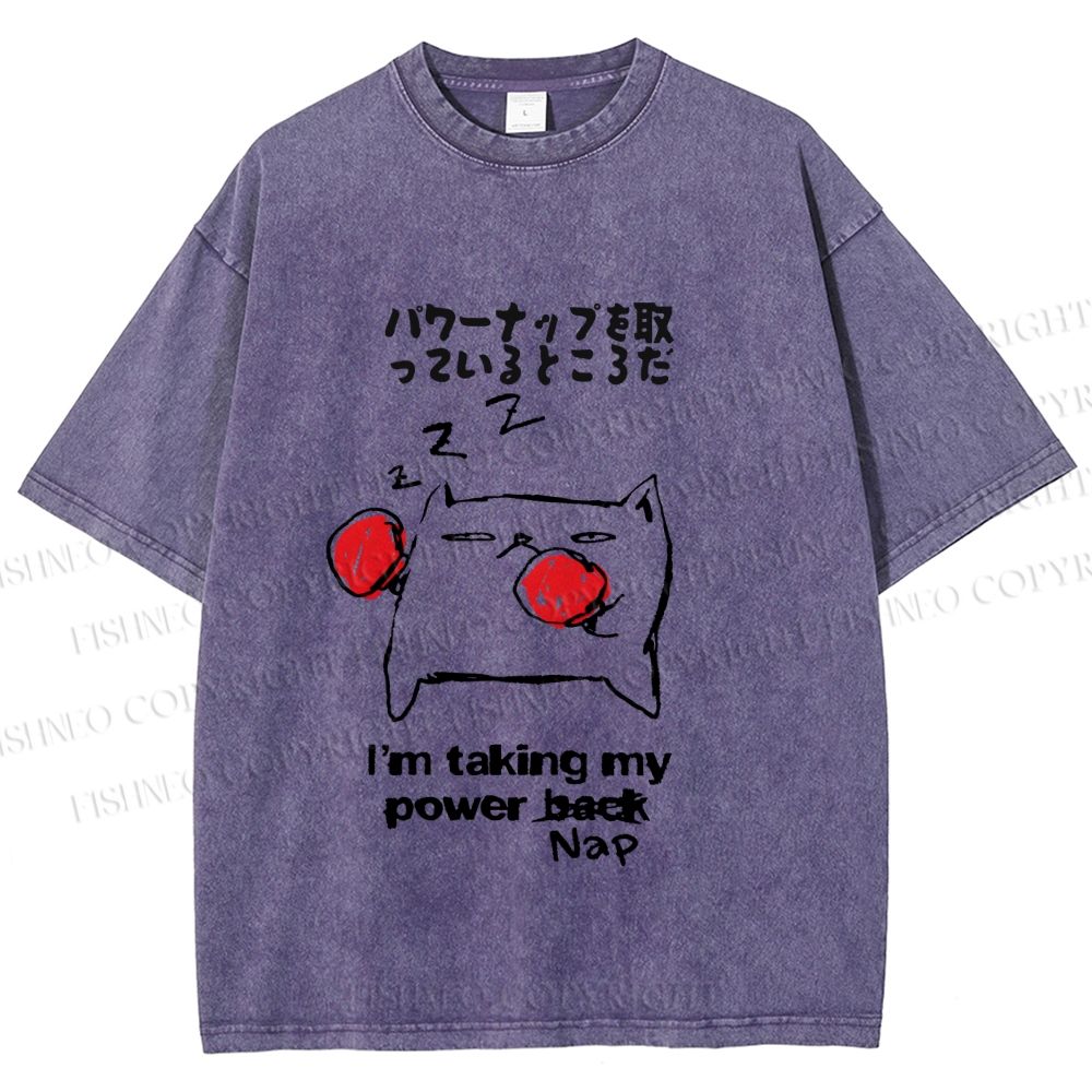 Unisex Cat Taking Power Nap Printed Washed Tee