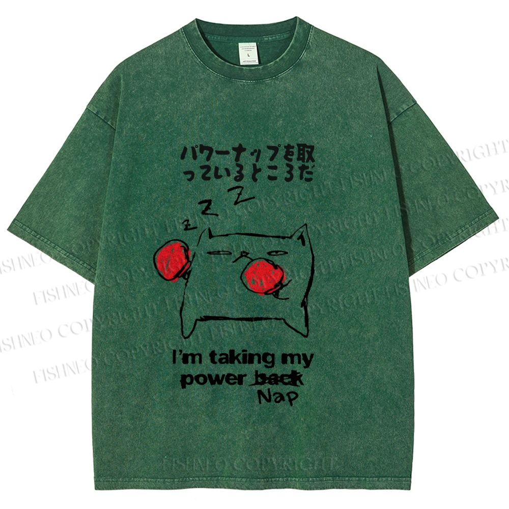 Unisex Cat Taking Power Nap Printed Washed Tee