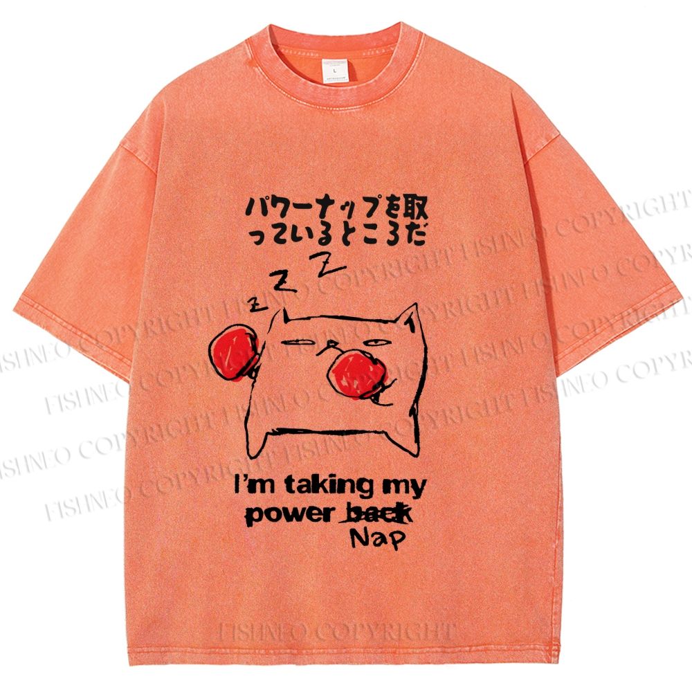 Unisex Cat Taking Power Nap Printed Washed Tee