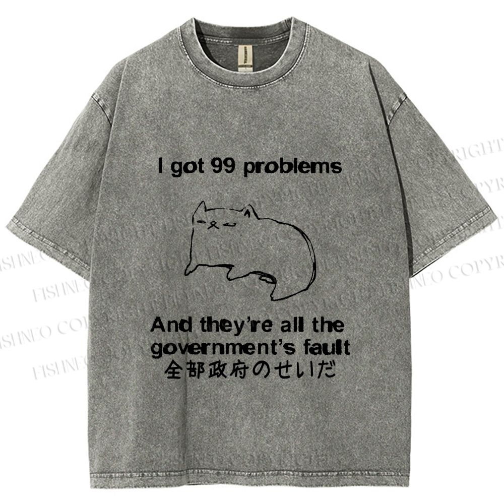 Unisex 99 Problems are All The Goverment's Fault Cat Printed Washed Tee