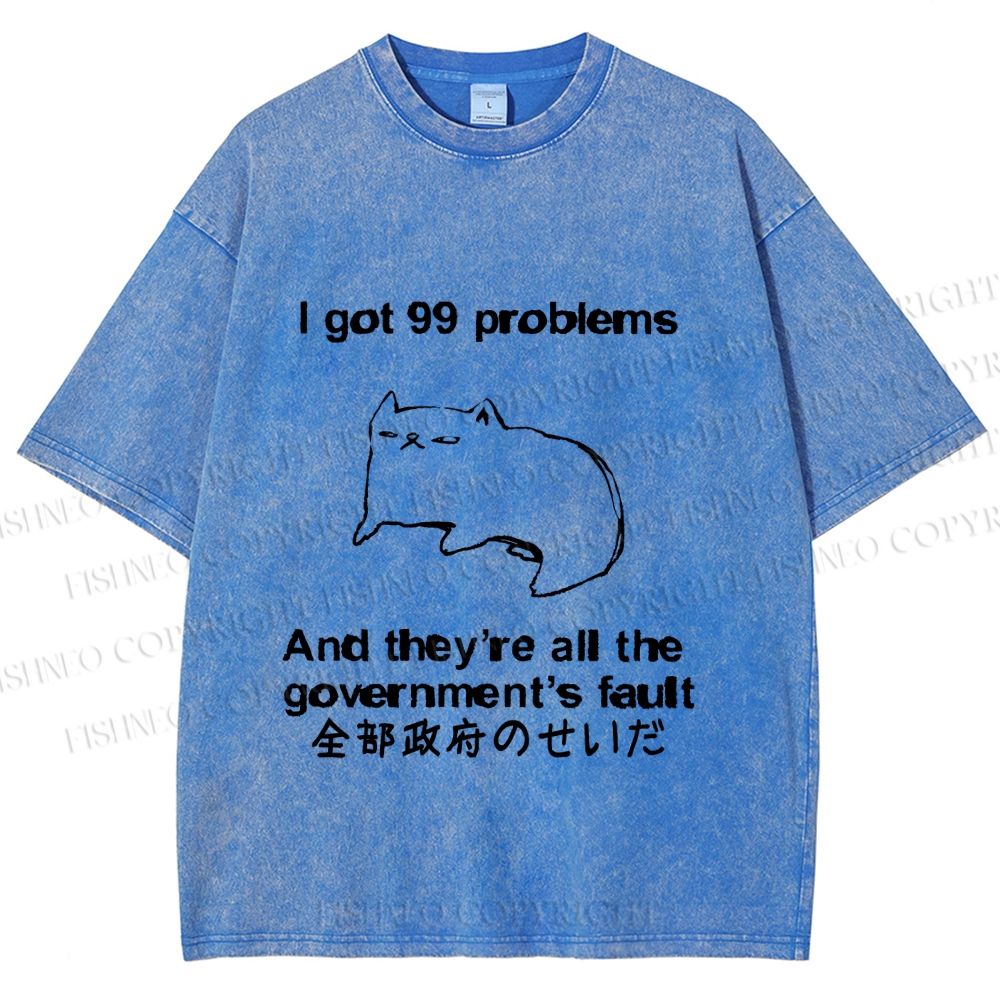 Unisex 99 Problems are All The Goverment's Fault Cat Printed Washed Tee