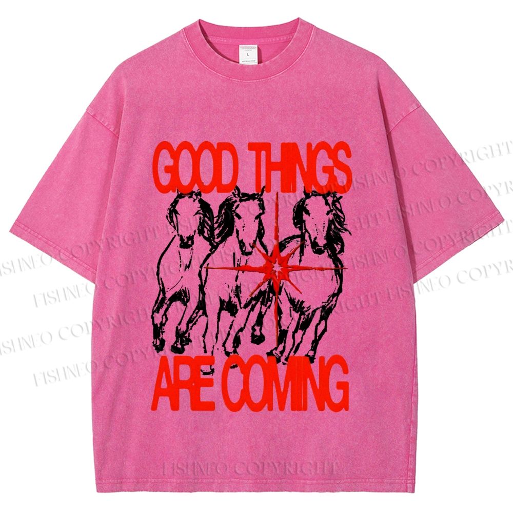 Unisex Horse Good Things Coming Printed Washed Tee