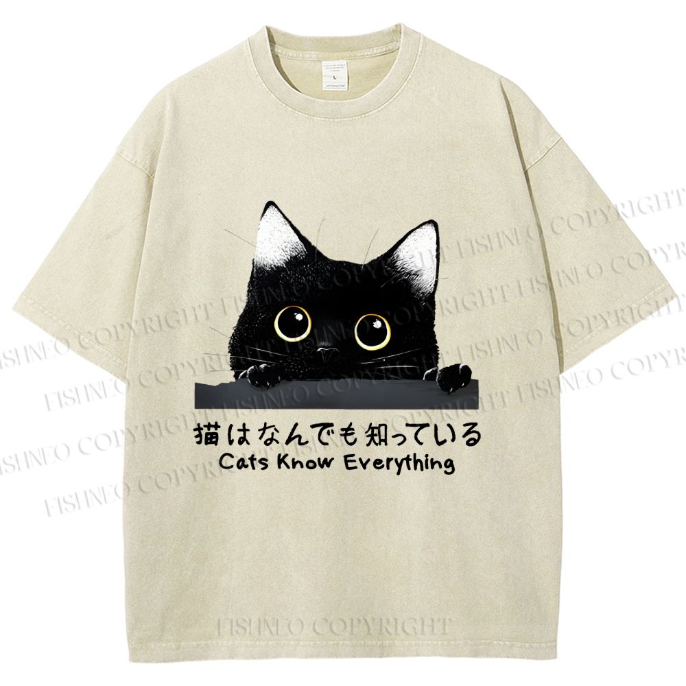 Unisex All-Knowing Black Cat Printed Washed Tee