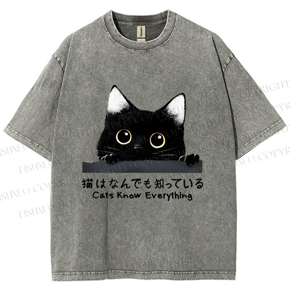 Unisex All-Knowing Black Cat Printed Washed Tee