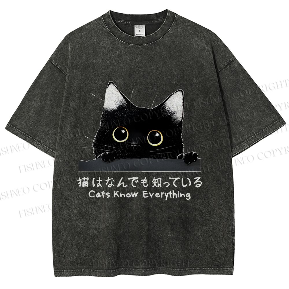 Unisex All-Knowing Black Cat Printed Washed Tee