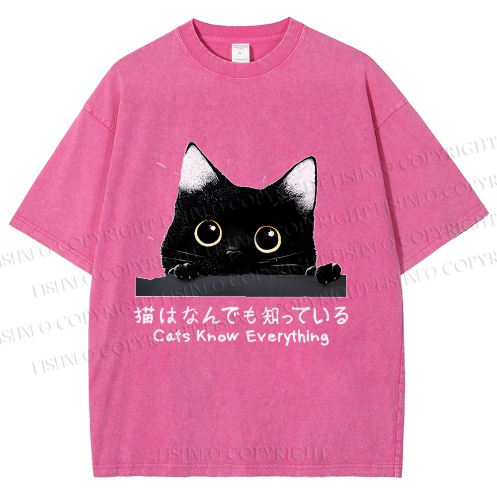 Unisex All-Knowing Black Cat Printed Washed Tee