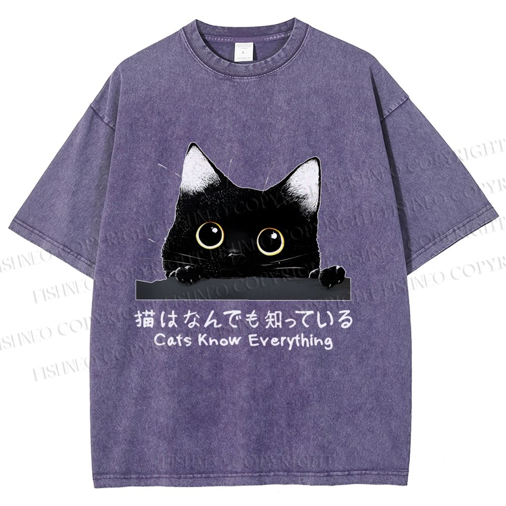 Unisex All-Knowing Black Cat Printed Washed Tee
