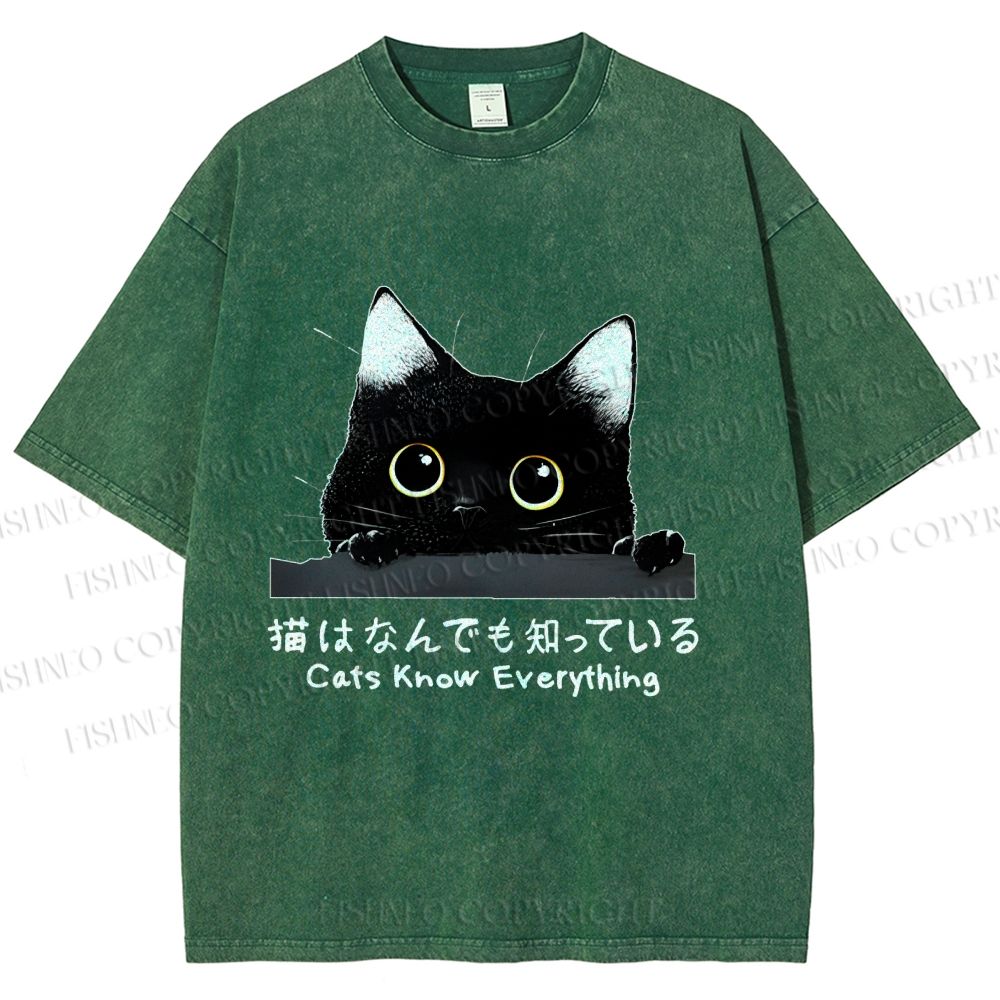 Unisex All-Knowing Black Cat Printed Washed Tee