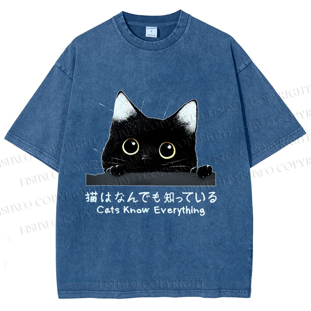 Unisex All-Knowing Black Cat Printed Washed Tee