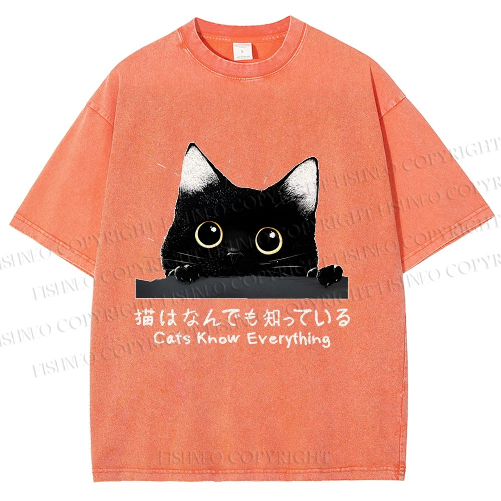 Unisex All-Knowing Black Cat Printed Washed Tee