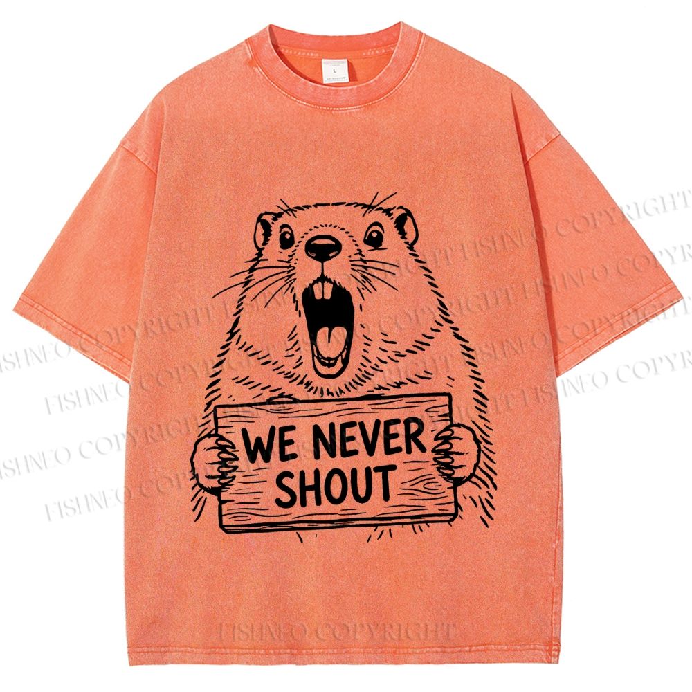 Unisex We Never Shout Printed Washed Tee