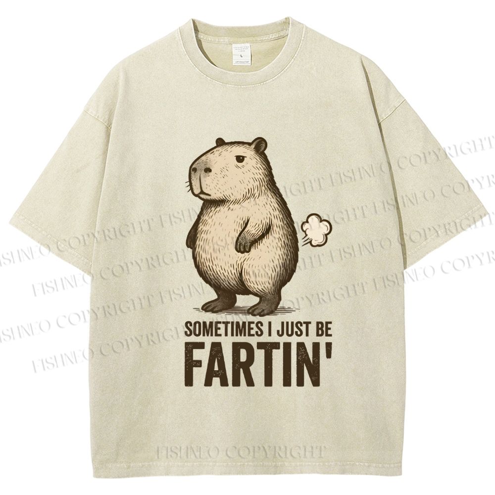 Unisex Sometimes I Just Be Fartin Capybara Printed Washed Tee