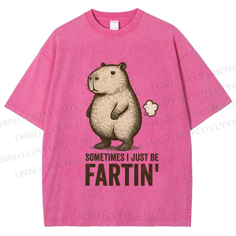 Unisex Sometimes I Just Be Fartin Capybara Printed Washed Tee