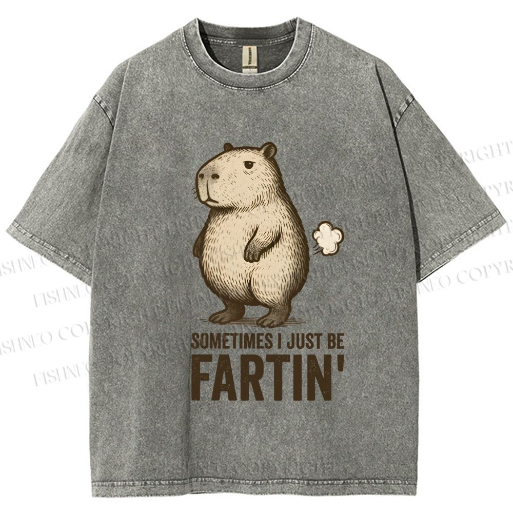 Unisex Sometimes I Just Be Fartin Capybara Printed Washed Tee
