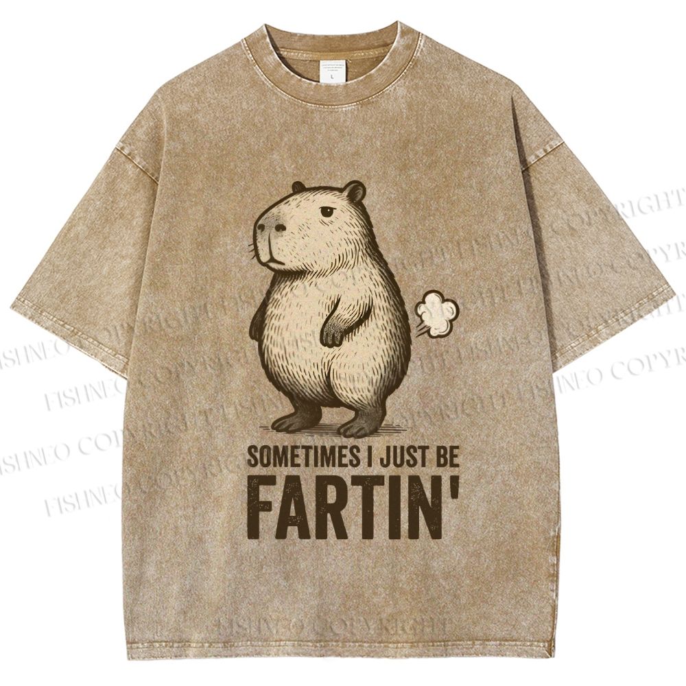 Unisex Sometimes I Just Be Fartin Capybara Printed Washed Tee