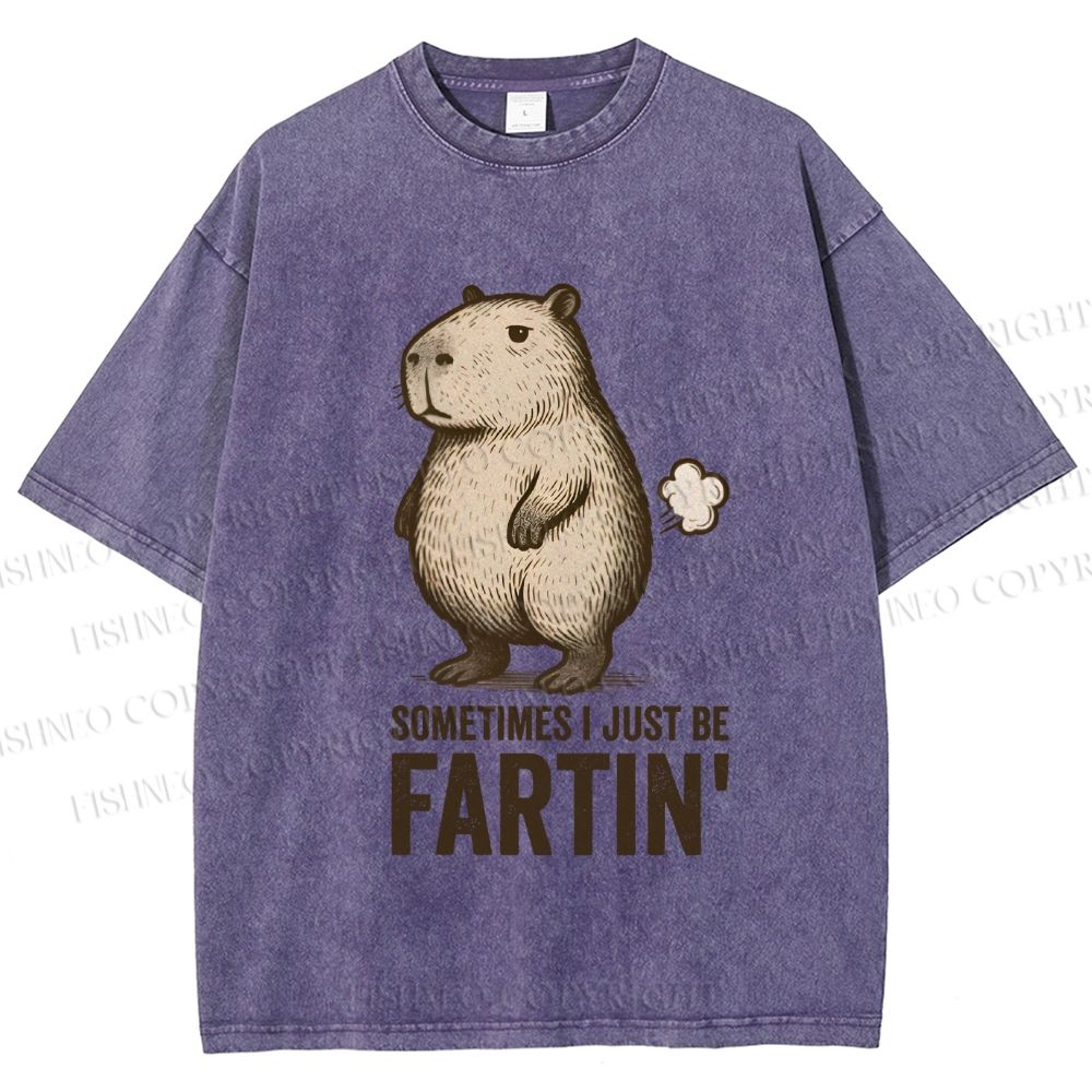 Unisex Sometimes I Just Be Fartin Capybara Printed Washed Tee