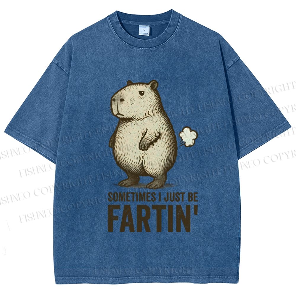 Unisex Sometimes I Just Be Fartin Capybara Printed Washed Tee