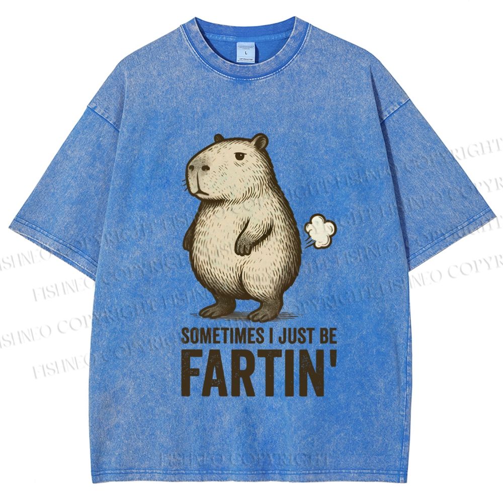Unisex Sometimes I Just Be Fartin Capybara Printed Washed Tee