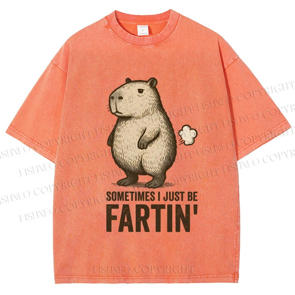 Unisex Sometimes I Just Be Fartin Capybara Printed Washed Tee