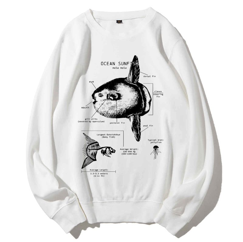 Ocean Sunfish Anatomy Cotton Sweatshirt