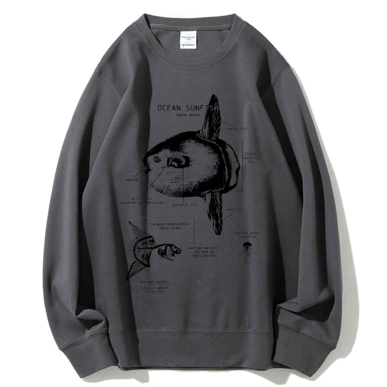 Ocean Sunfish Anatomy Cotton Sweatshirt