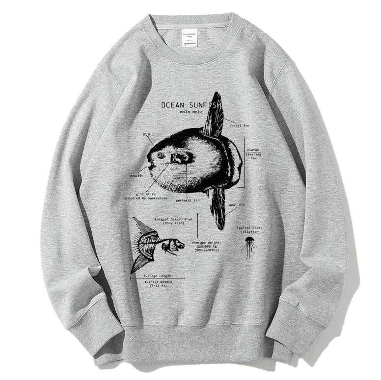 Ocean Sunfish Anatomy Cotton Sweatshirt