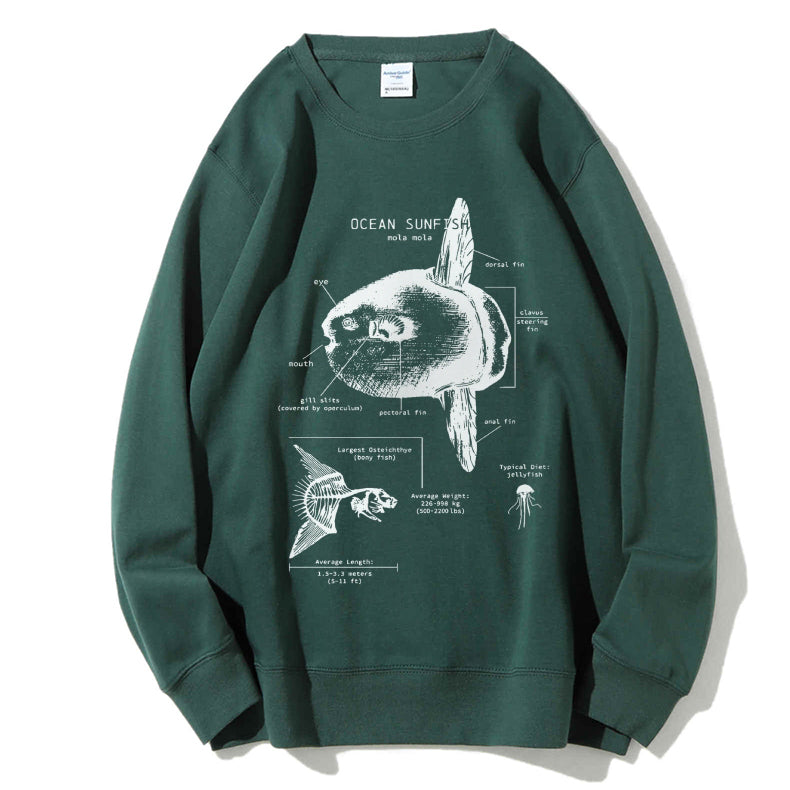 Ocean Sunfish Anatomy Cotton Sweatshirt