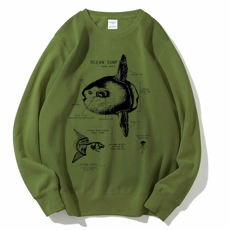 Ocean Sunfish Anatomy Cotton Sweatshirt