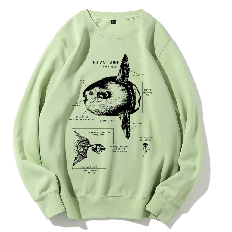 Ocean Sunfish Anatomy Cotton Sweatshirt