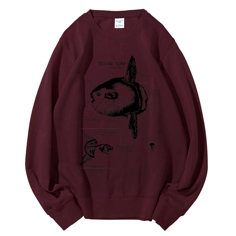 Ocean Sunfish Anatomy Cotton Sweatshirt