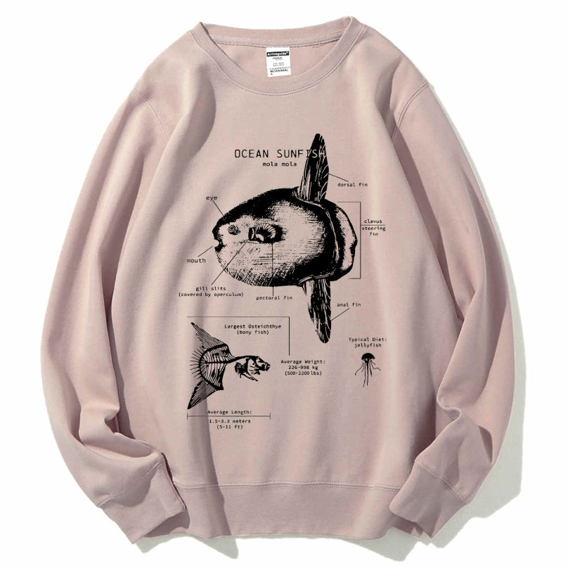 Ocean Sunfish Anatomy Cotton Sweatshirt