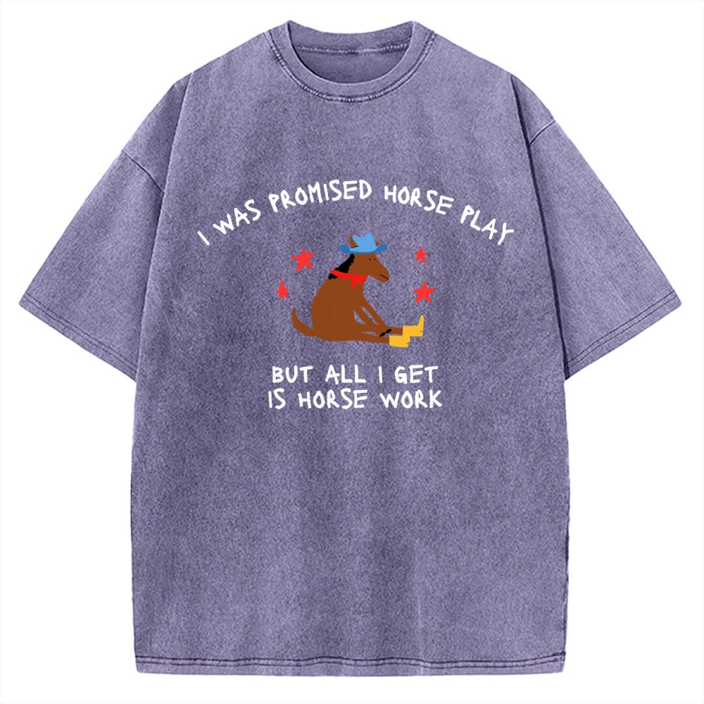 Unisex I Was Promised Horse Play funny meme Printed Washed Tee