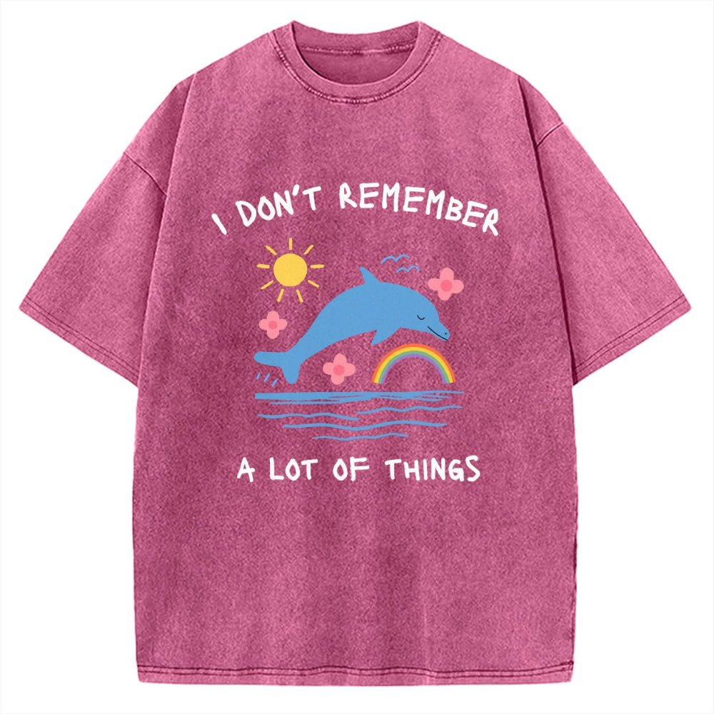 Unisex I Don't Remember Printed Washed Tee