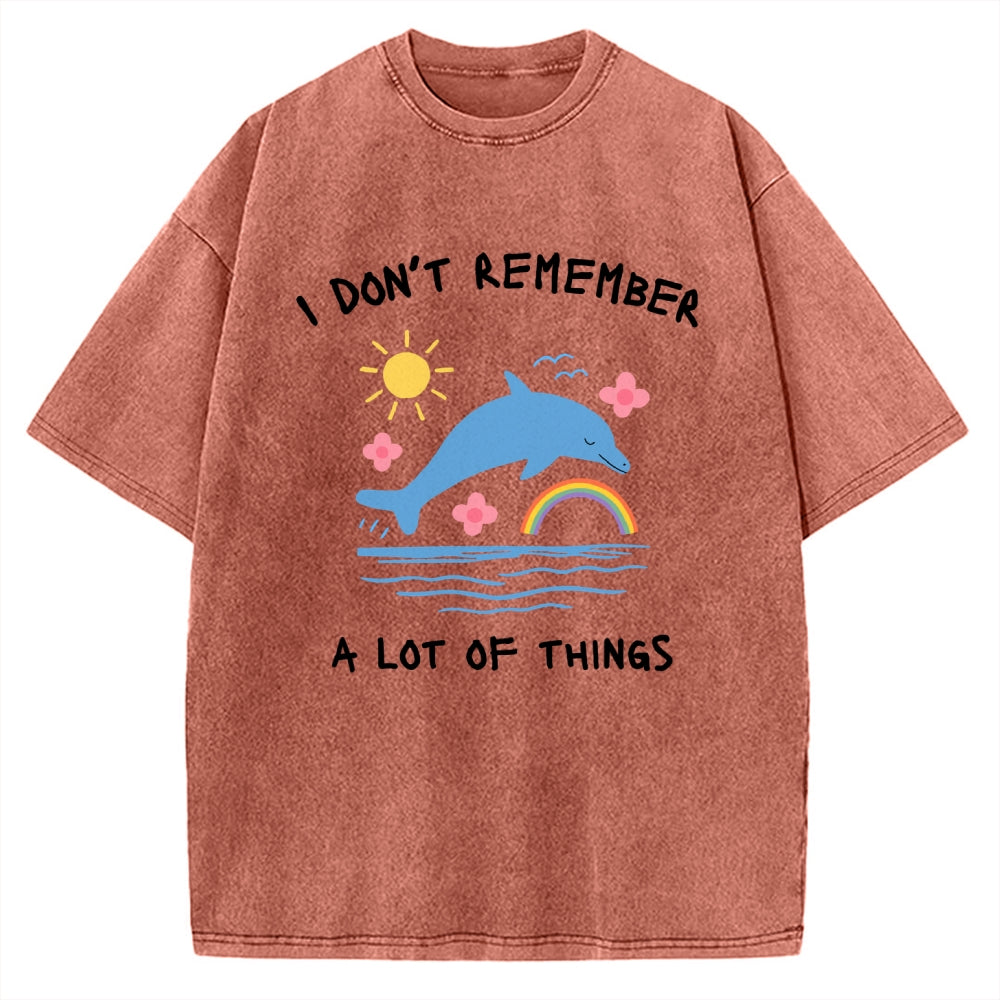 Unisex I Don't Remember Printed Washed Tee