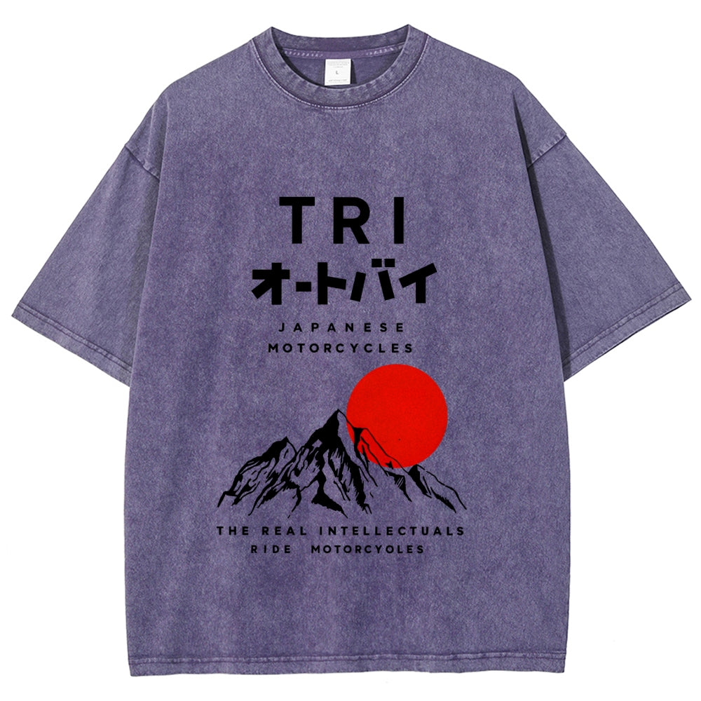 Japanese Mount Fuji Vintage Washed T-shirt
