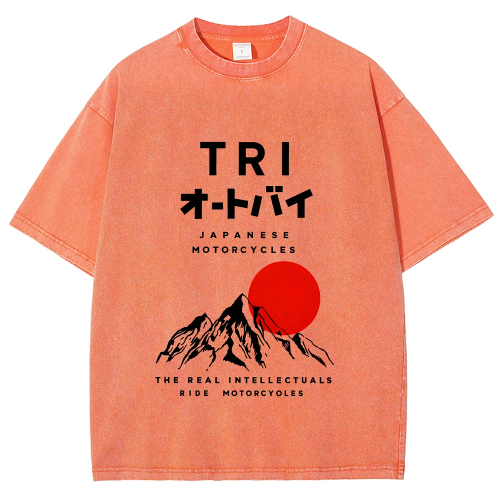 Japanese Mount Fuji Vintage Washed T-shirt