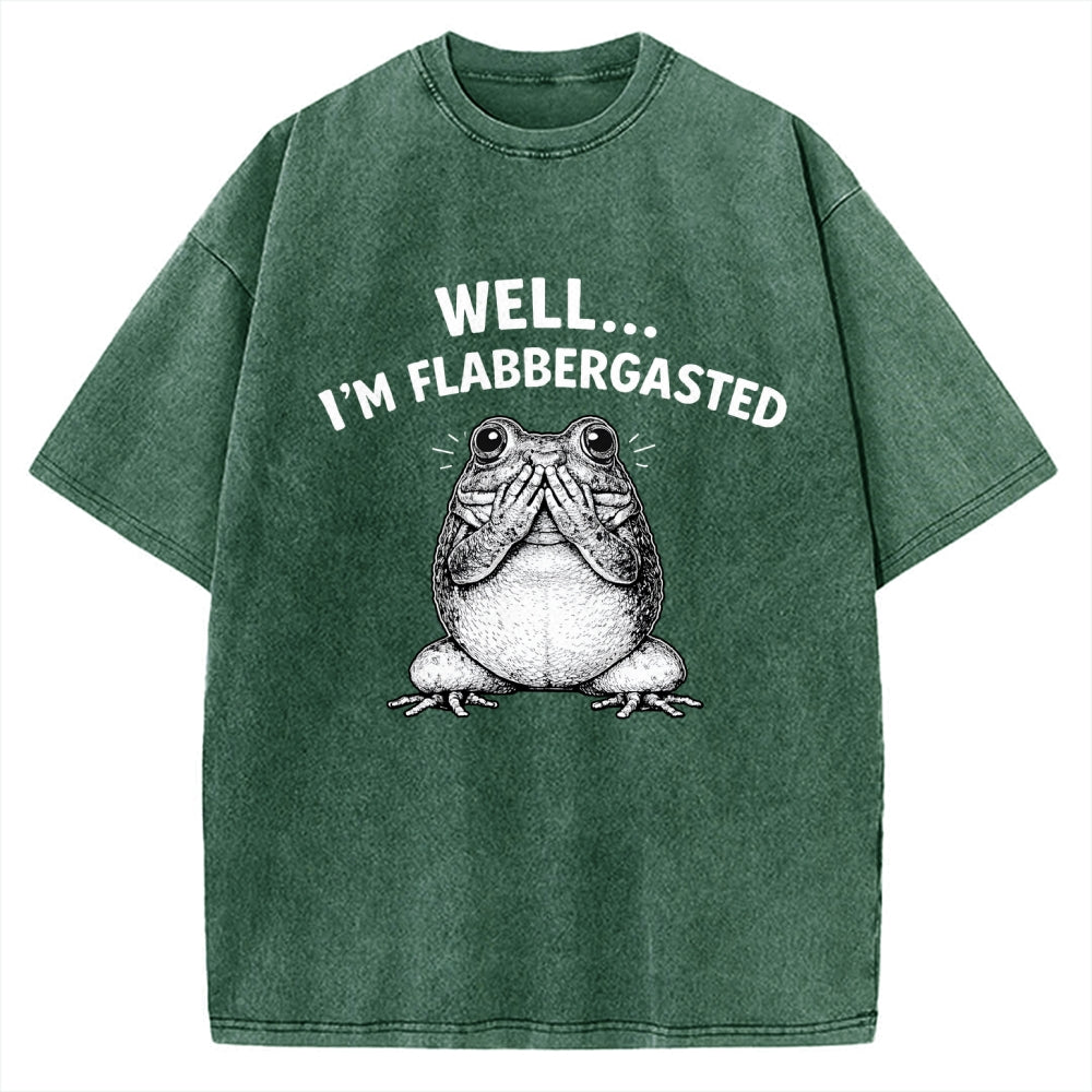 Unisex Well Im Flabbergasted Essential Printed Washed Tee