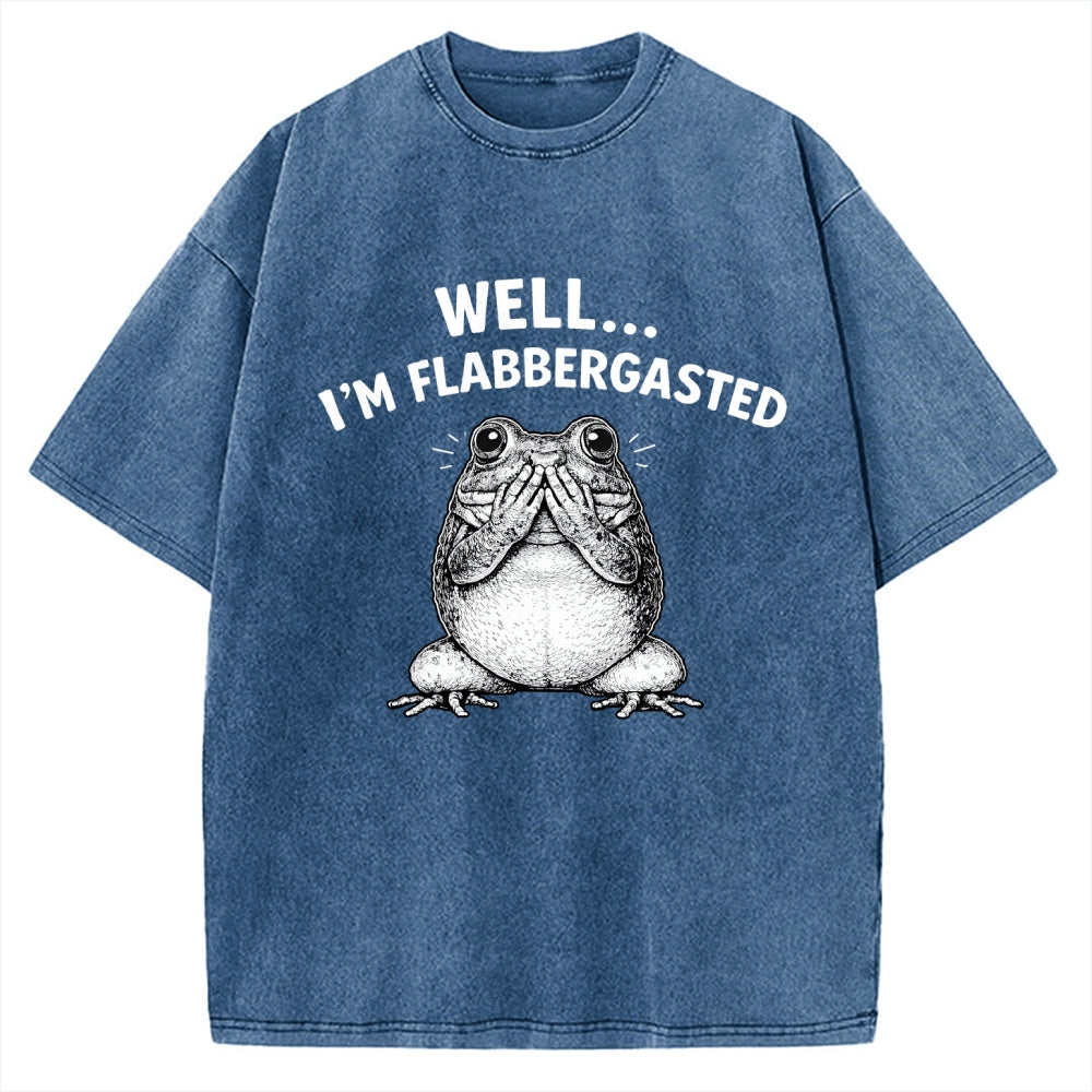 Unisex Well Im Flabbergasted Essential Printed Washed Tee