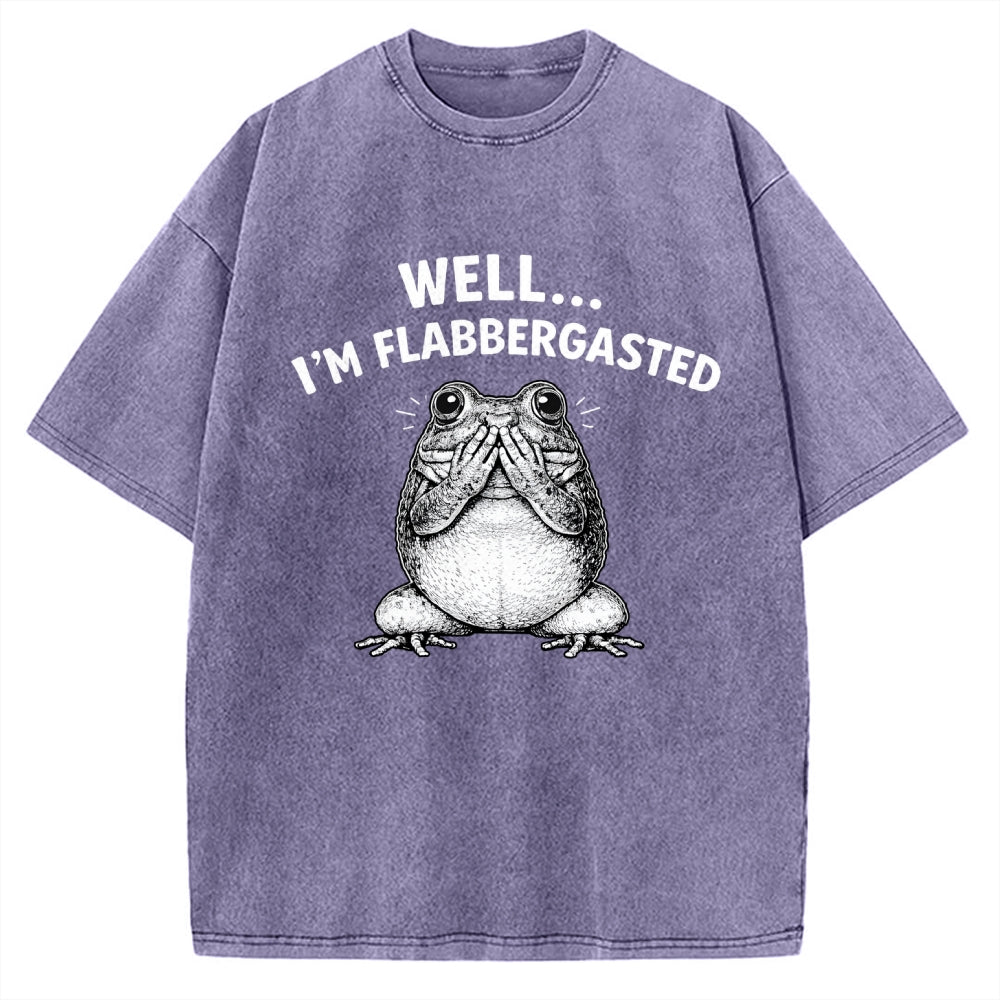 Unisex Well Im Flabbergasted Essential Printed Washed Tee