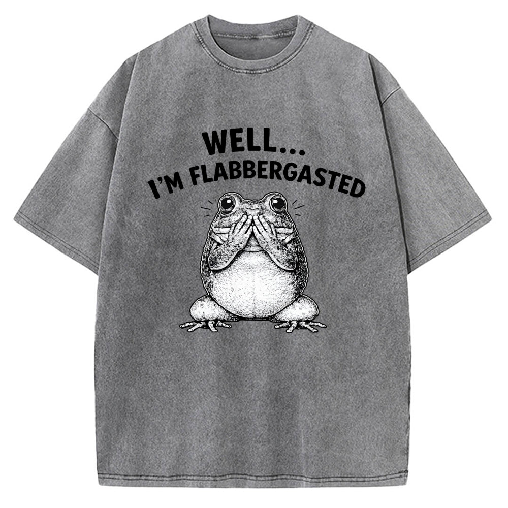 Unisex Well Im Flabbergasted Essential Printed Washed Tee