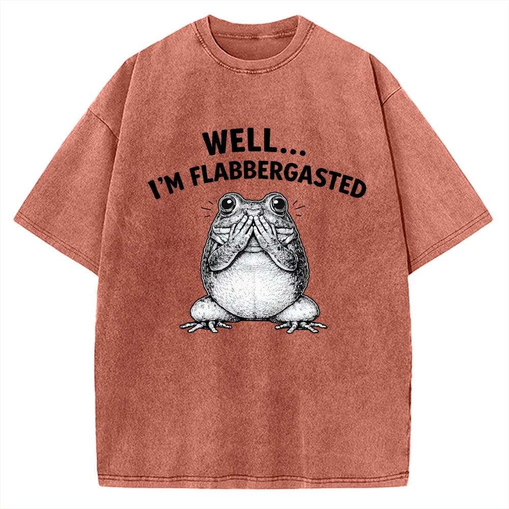 Unisex Well Im Flabbergasted Essential Printed Washed Tee
