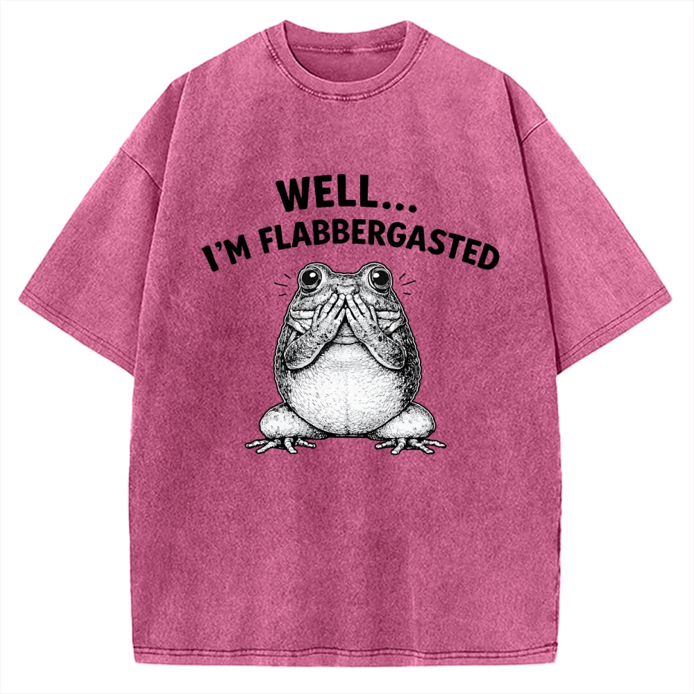 Unisex Well Im Flabbergasted Essential Printed Washed Tee