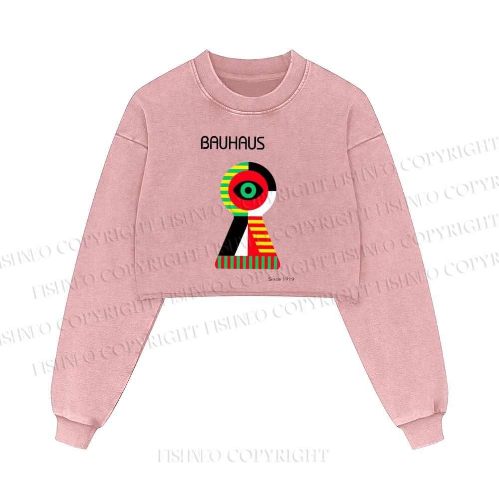 Bauhaus Colored Geometric Eyes Printed Washed Crop Sweatshirt