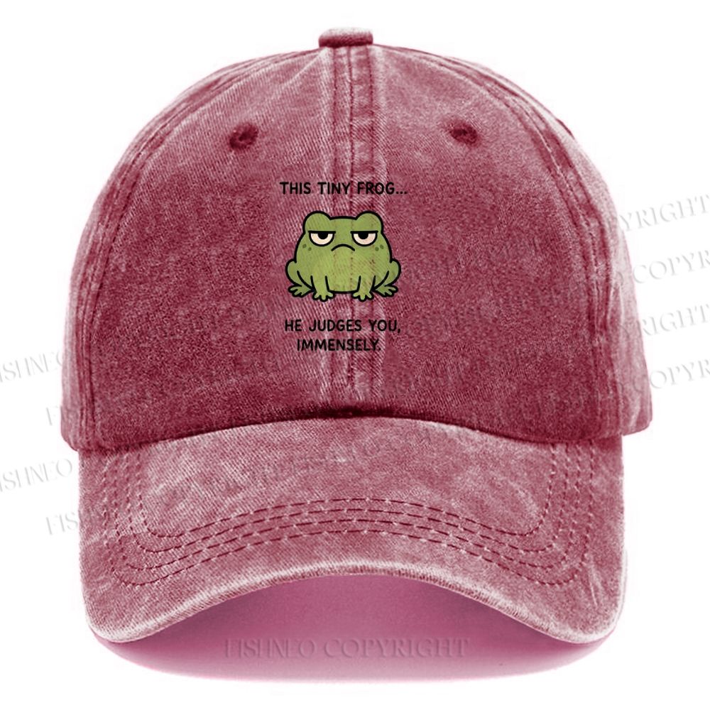 Unisex Vintage Frog Judges You Meme Printed Casual Washed Cap