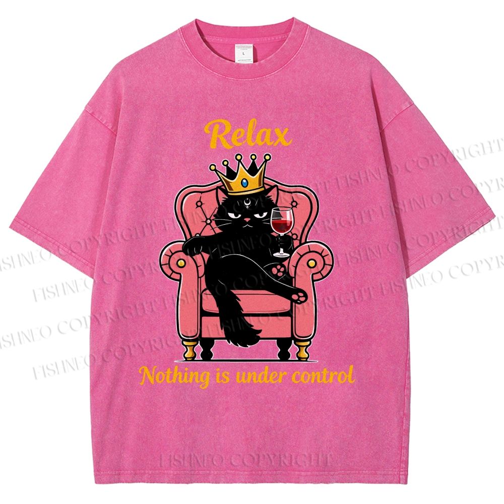 Unisex Relax Nothing Is Under Control Printed Washed Tee